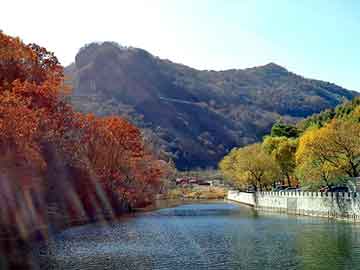 管家婆黑白马报图库，泸水seo建站